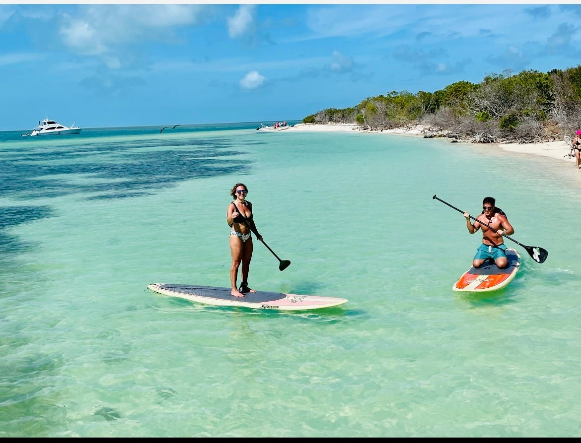 Island Excursion & Dolphin Watching - Photo 1 of 4